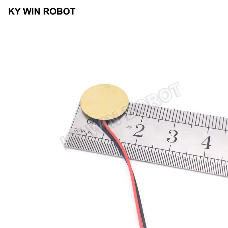 10 個の圧電ピエゾセラミックウェーハプレート直径 15 ミ - R/Diy Electronics のレビューと価格